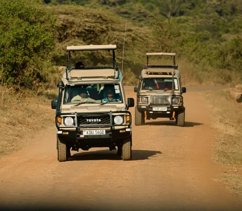 3-Day Maasai Mara Luxury — safari vehicle